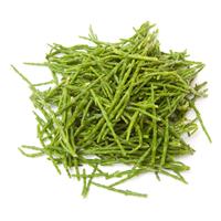 samphire-36044452.jpg